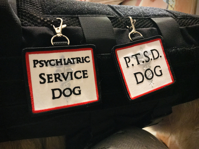 service dog tags: psychiatric service dog and PTSD dog