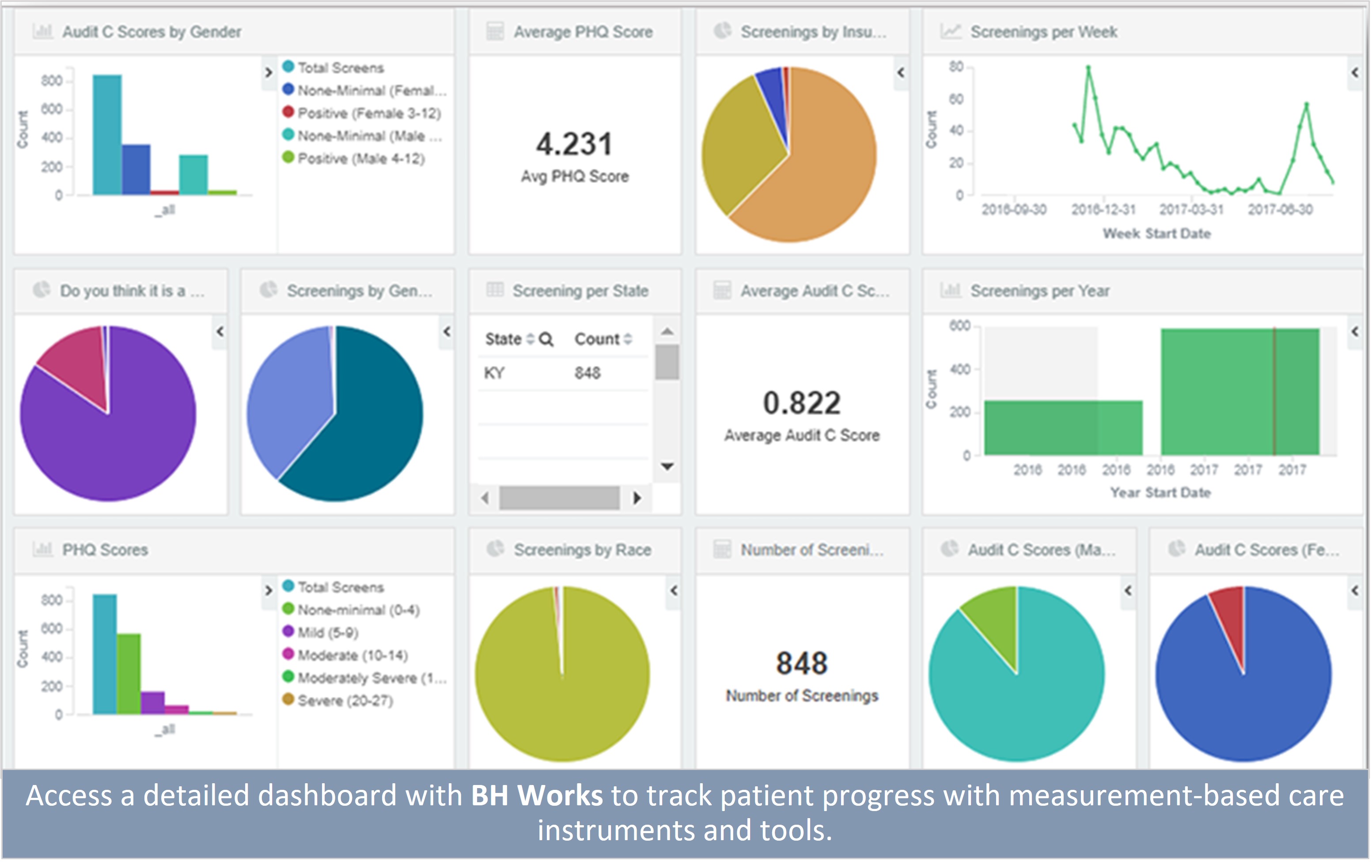 Screenshot of the BH Works dashboard with the text Access a detailed dashboard with BH Works to track patient progress with measurement-based care instruments and tools.
